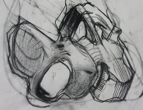 Placement_Study